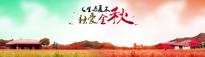 秋季背景psd设计背景_新图网 https://ixintu.com 海报banner 秋天 秋季 草地 金秋 秋装促销背景