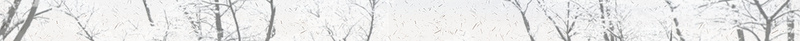 中国风简约淡雅二十四节气立冬配图海报jpg设计背景_新图网 https://ixintu.com 中国风 简约 淡雅 二十四 节气 立冬 配图 海报