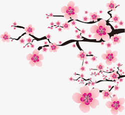 樱花摄影图高清免扣素材