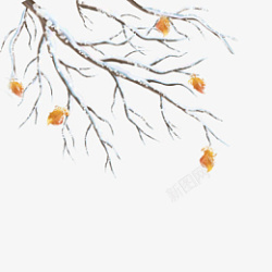 带有雪花的树枝素材
