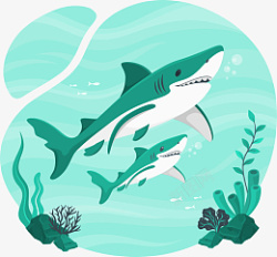 水底动物鲨鱼扁平设计素材高清图片