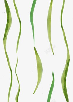 丝绦绿色垂挂丝绦高清图片