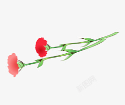 两枝花红色花高清图片