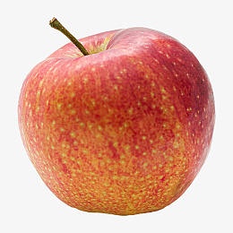 苹果高清免扣素材png免抠素材_新图网 https://ixintu.com 水果 白底 免扣 png 素材 透明 元素 食物 苹果