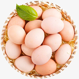一篮子俯视鲜鸡蛋png免抠素材_新图网 https://ixintu.com 初生蛋 鲜鸡蛋 鸡蛋 产品图