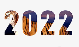 2022年虎年大吉psd免抠素材_新图网 https://ixintu.com 2022年 虎年 2022年文字图片 2022虎