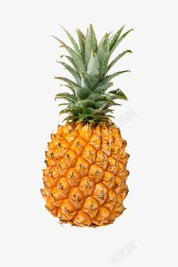 pineapple新鲜健康菠萝高清图片
