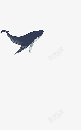 黑海豚图案元素png免抠素材_新图网 https://ixintu.com 黑海豚 动物 图案 元素