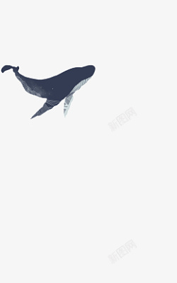 黑海豚图案元素素材