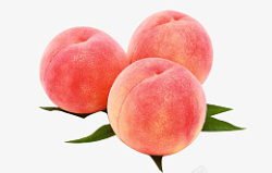 粉红桃子高琴新鲜桃子图高清图片