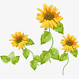 黄色的植物简笔画png免抠素材_新图网 https://ixintu.com 黄色 植物 笔画 手绘
