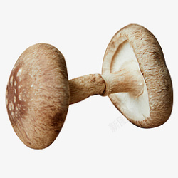 香菇组合2个香菇组合轮胎高清图片