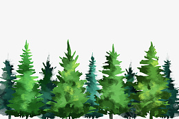 绿色树木树林夏天png免抠素材_新图网 https://ixintu.com 松树 树 绿色 树林