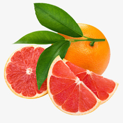 橙子红色叶子水果素材