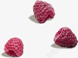 紫色水果png免抠素材_新图网 https://ixintu.com 紫色 水果 食物 食品