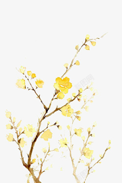 枝头的黄色花朵素材