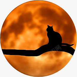 月亮下孤独的猫png免抠素材_新图网 https://ixintu.com 月亮 猫咪 孤独 月光 猫 宠物