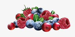 水果蓝莓草莓图标