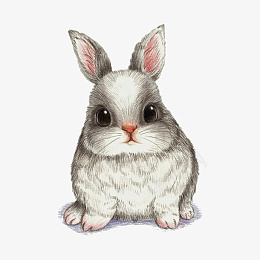 小兔子插图系列png免抠素材_新图网 https://ixintu.com 小兔子 兔子 插图 元素
