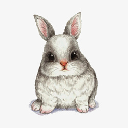 小兔子插图系列素材