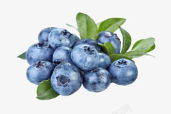 新鲜健康蓝莓图片素材