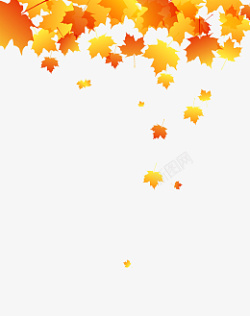 秋树叶秋天红枫落叶飞舞高清图片