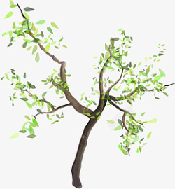 高清手绘水彩中国风树枝插画素材素材