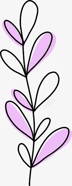 紫草手绘植物插画花素材