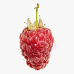 白底水果礼盒树莓高清免扣高清图片
