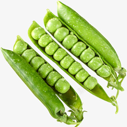 矢量甜豆免抠PNG绿色的雪豆蔬菜高清图片