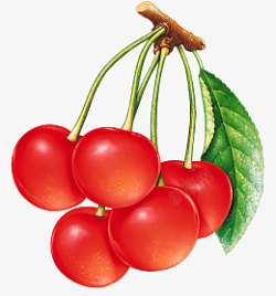 高清PNG水果红樱桃1素材