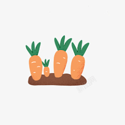 胡萝卜种植基地素材