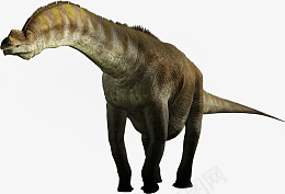 恐龙科普图片1png免抠素材_新图网 https://ixintu.com 恐龙 科普 动物 恐龙时代