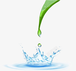 滴水绿叶高清精美矢量绿叶滴水插画素材高清图片
