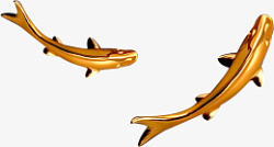 金色的鱼锦鲤素材