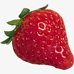 大草莓特写照psd免抠素材_新图网 https://ixintu.com 水果 草莓 红色 新鲜 扣好的水果 蔬菜 瓜果 农业 绿色 健康