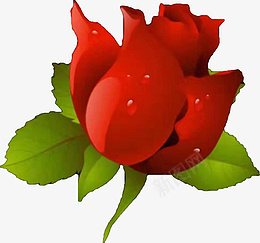 一朵红色玫瑰花元素素材素材png免抠素材_新图网 https://ixintu.com 一朵 红色 玫瑰花 素材