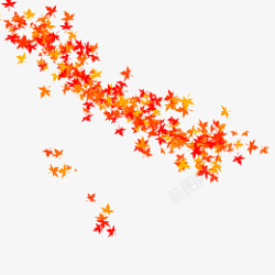 火红树叶秋天火红的枫叶高清图片