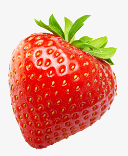 草莓新鲜单独素材
