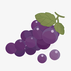 甜葡萄葡萄紫色叶子绿色味道清新高清图片