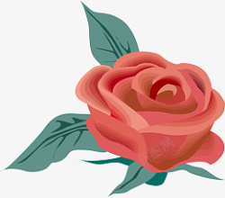 矢量玫瑰插画元素植物花卉素材