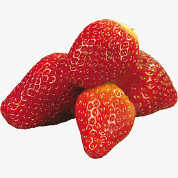 没有叶子的大草莓psd免抠素材_新图网 https://ixintu.com 水果 草莓 红色 新鲜 扣好的水果 蔬菜 瓜果 农业 绿色 健康