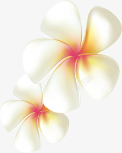 白色丁香花花朵素材