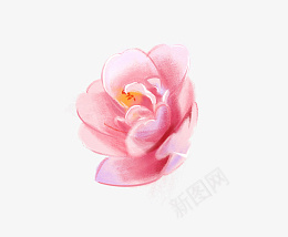 美丽粉色玫瑰花朵png免抠素材_新图网 https://ixintu.com 手绘图 玫瑰花朵 装饰 简图