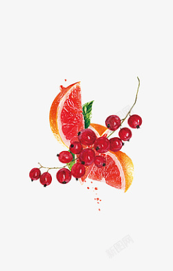 红浆果蔓越莓红西柚手绘果高清图片