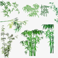 小竹子绿色清新小竹子高清图片