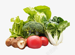 有机绿色蔬菜元素素材
