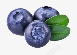 高清PNG蓝莓水果图片1png免抠素材_新图网 https://ixintu.com 高清 PNG 蓝莓 水果