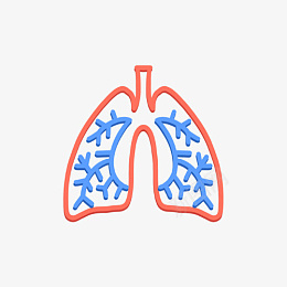肺部身体健康医院png免抠素材_新图网 https://ixintu.com 肺部 身体 健康 医院