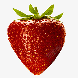 一颗完整的草莓免扣元素png免抠素材_新图网 https://ixintu.com 水果 白底 免扣 png 素材 透明 元素 食物 草莓 高清